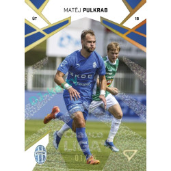 2024/25 Sportzoo Chance Liga 1. série #060 Matěj Pulkrab Gold Glitter 03/25