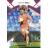 2024/25 Sportzoo Chance Liga 1. série #049 Matouš Trmal Copper Diamond xx/70