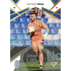 2024/25 Sportzoo Chance Liga 1. série #049 Matouš Trmal Gold Glitter 22/25