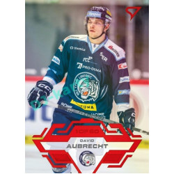 2023/24 Sportzoo ELH 2. serie #297 David Aubrecht Goal Light 1of60