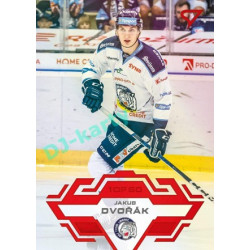 2023/24 Sportzoo ELH 2. serie #299 Jakub Dvořák Goal Light 1of60