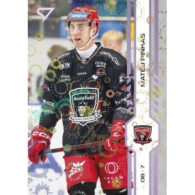 2024/25 Sportzoo ELH 2. serie #310 Matěj Pinkas Puck Marks