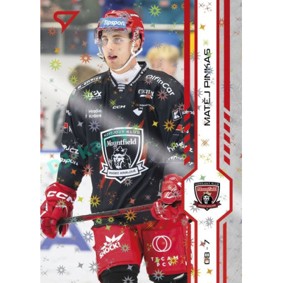 2024/25 Sportzoo ELH 2. serie #310 Matěj Pinkas Red Sparks