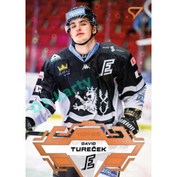 2023/24 Sportzoo ELH 2. serie #324 David Tureček Blade Sparks 1of25