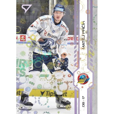 2024/25 Sportzoo ELH 2. serie #318 Matěj Prčík Puck Marks
