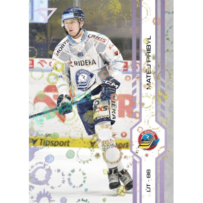 2024/25 Sportzoo ELH 2. serie #323 Matěj Přibyl Puck Marks