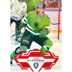 2023/24 Sportzoo ELH 2. serie #333 David Dvořáček Goal Light 1of60