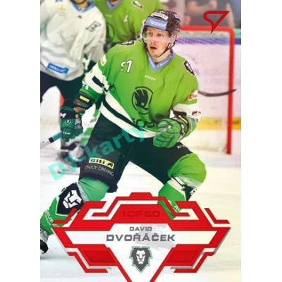 2023/24 Sportzoo ELH 2. serie #333 David Dvořáček Goal Light 1of60