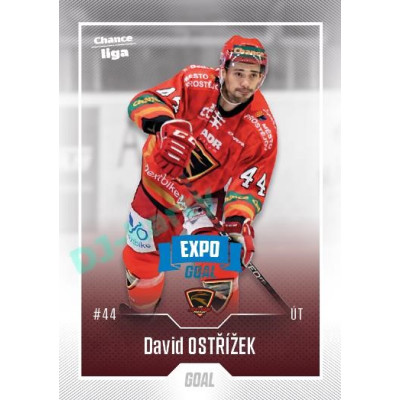 2022/23 Goal Cards Chance Liga 1. série #056 David Ostřížek Expo Blue x/4
