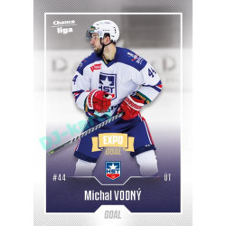 2022/23 Goal Cards Chance Liga 1. série #082 Michal Vodný Expo Ostrava GOLD 1of2