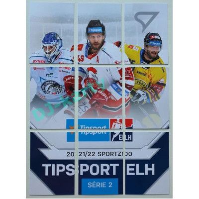 2021/22 Sportzoo TIPSPORT ELH 2. série #8 Puzzle Quest