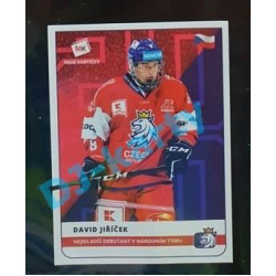 2020 MK Stick David Jiříček Nejmladší debutant v národním týmu #26