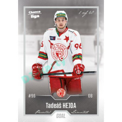 2022/23 Goal Cards Chance Liga 1. série #106 Tadeáš Hejda Silver 1 of 60