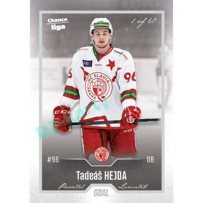 2022/23 Goal Cards Chance Liga 1. série #106 Tadeáš Hejda Silver 1 of 60