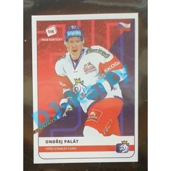 2020 MK Stick Ondřej Palát Vítěz Stanley cupu #30