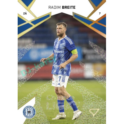 2024/25 Sportzoo Chance Liga 1. série #113 Radim Breite Gold Glitter 19/25