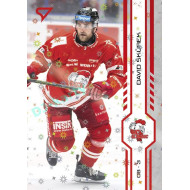 2024/25 Sportzoo ELH 2. serie #327 David Škůrek Red Sparks