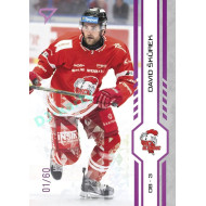 2024/25 Sportzoo ELH 2. serie #327 David Škůrek Purple Iceberg xx/60