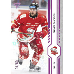 2024/25 Sportzoo ELH 2. serie #327 David Škůrek Purple Iceberg xx/60