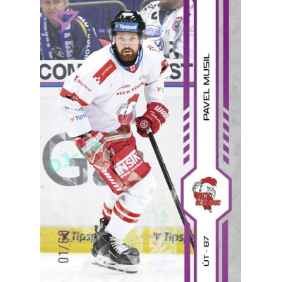 2024/25 Sportzoo ELH 2. serie #334 Pavel Musil Purple Iceberg xx/60