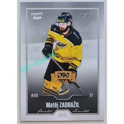 2022/23 Goal Cards Chance Liga 2. série #242 Matěj Zadražil Expo Silver 1 of 3