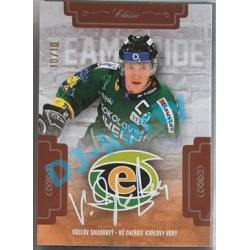 2020/21 OFS 1. série Václav Skuhravý #TP-VSK 10/10 Team Pride Signature
