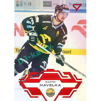 2023/24 Sportzoo ELH 2. serie #343 Martin Havelka Goal Light 1of60