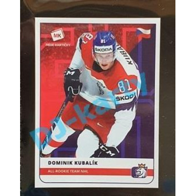 2020 MK Stick Dominik Kubalík All-Rookie Team NHL #32