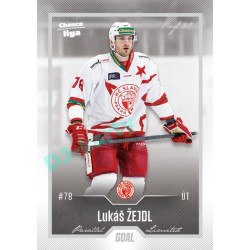 2022/23 Goal Cards Chance Liga 1. série #111 Lukáš Žejdl Silver 1 of 60