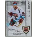 Team Pride x/60
