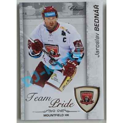2017/18 OFS Jaroslav Bednář #TP-9 14/60 Team Pride