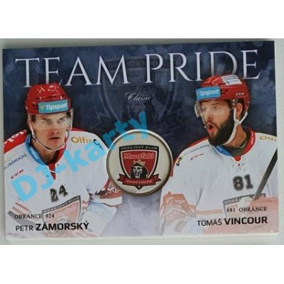 2018/19 OFS Petr Zámorský/Tomáš Vincour #TP-4 Team Pride