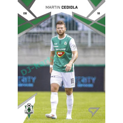 2024/25 Sportzoo Chance Liga 1. série #122 Martin Cedidla