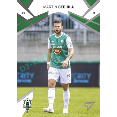 2024/25 Sportzoo Chance Liga 1. série #122 Martin Cedidla