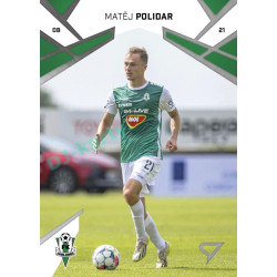 2024/25 Sportzoo Chance Liga 1. série #124 Matěj Polidar