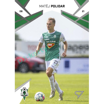 2024/25 Sportzoo Chance Liga 1. série #124 Matěj Polidar