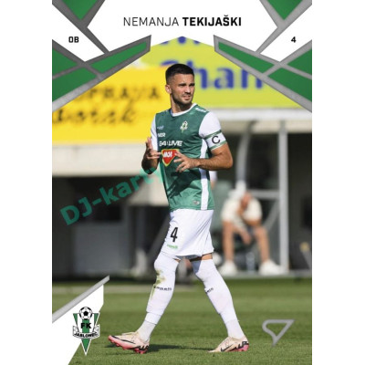 2024/25 Sportzoo Chance Liga 1. série #125 Nemanja Tekijaški