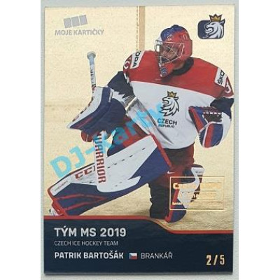 2020 MK reprezentace Patrik Bartošák #47 2/5 Gold Czech Expo