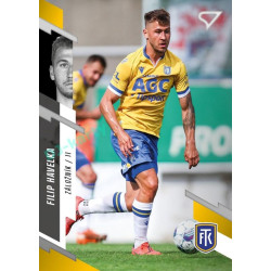 2023/24 Sportzoo Fortuna Liga 2. série #331 Filip Havelka