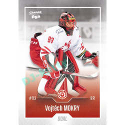2022/23 Goal Cards Chance Liga 1. série #129 Vojtěch Mokry
