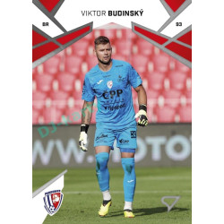 2024/25 Sportzoo Chance Liga 1. série #133 Viktor Budinský