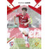 2024/25 Sportzoo Chance Liga 1. série #138 Dominik Mareš Copper Diamond xx/70