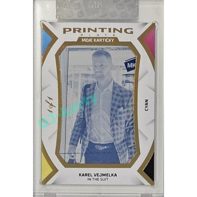 2023 MK The Gamers Extended #PP-KV Karel Vejmelka In the Suite Printing Plates 2023 Cyan 1of1