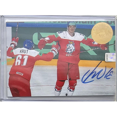 2023 MK The Gamers Extended #CH-4 Dominik Kubalík Jumbo cards Case Hit 3/10