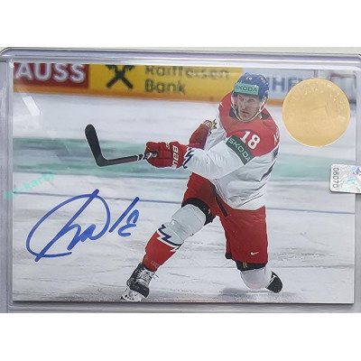 2023 MK The Gamers Extended #CH-5 Dominik Kubalík Jumbo cards Case Hit 8/10
