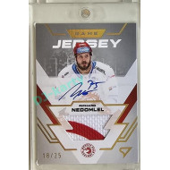 2023/24 Sportzoo ELH 1. série #GJS-RN Richard Nedomlel Game Jersey Auto 18/25