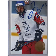 2023 MK The Gamers Extended #CH-7 Adam Jiříček Jumbo cards Case Hit 6/10
