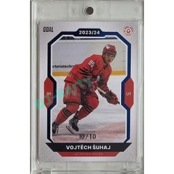 2023/24 Goal cards Chance Liga 2. série #317 Vojtěch Šuhaj Blue 10/10
