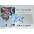 Signature Silver x/29