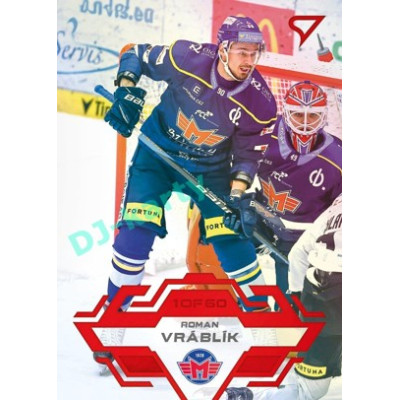 2023/24 Sportzoo ELH 2. serie #349 Roman Vráblík Goal Light 1of60